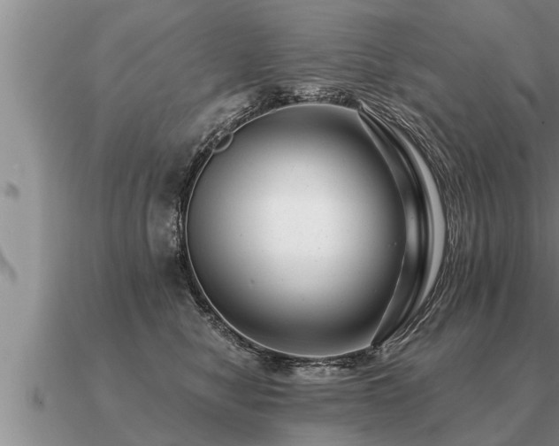 X0000091090470200708061641