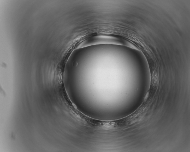 X0000091090474200708061641