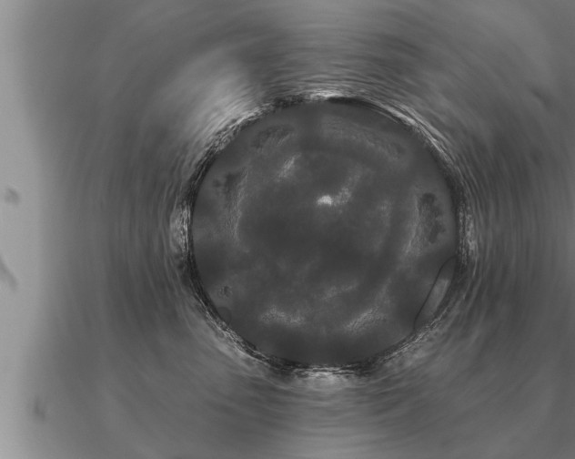 X0000091090475200708061641