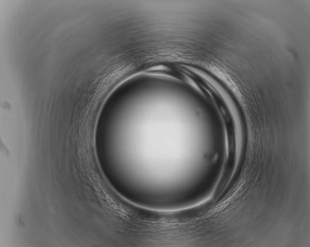 X0000091090481200708061640