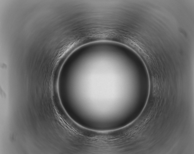 X0000091090482200708061640