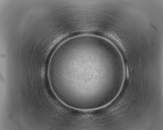 X0000091090483200708061640