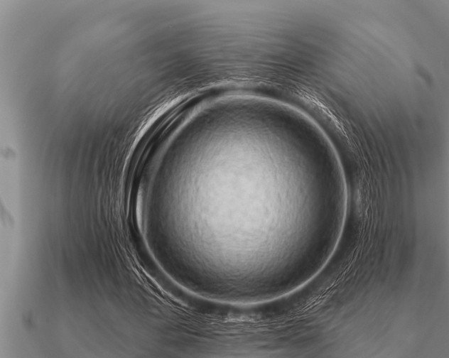 X0000091090484200708061640