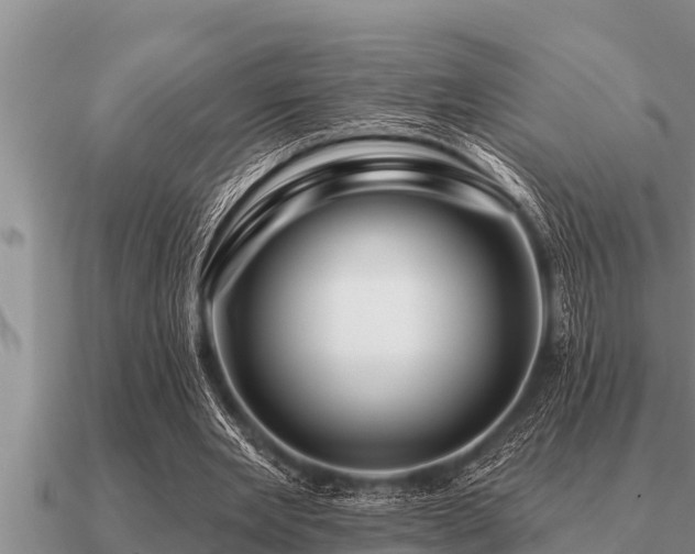 X0000091090485200708061640