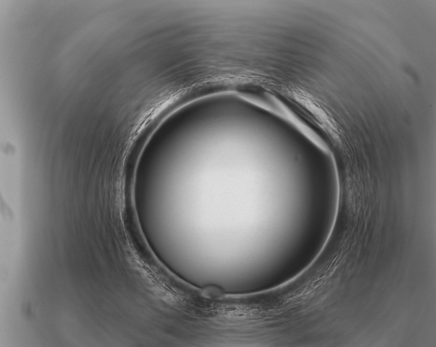 X0000091090486200708061640
