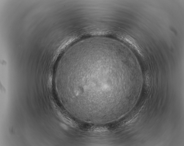 X0000091090491200708061640