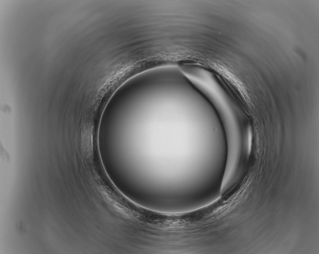 X0000091090493200708061640