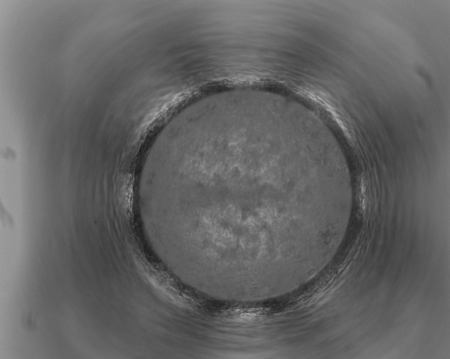 X0000091090495200708061640