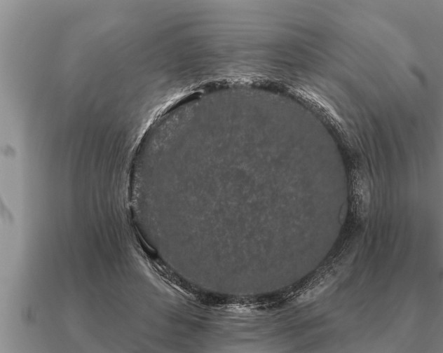 X0000091090496200708061640