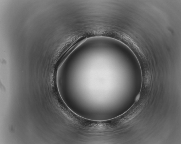 X0000091090497200708061640