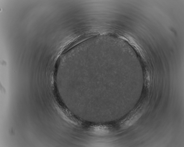 X0000091090500200708061640
