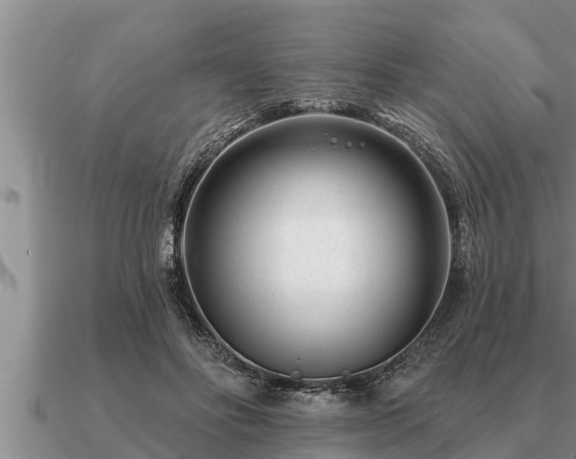 X0000091090502200708061640