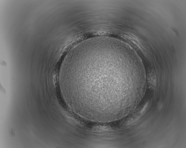 X0000091090503200708061640