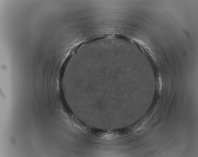 X0000091090504200708061640