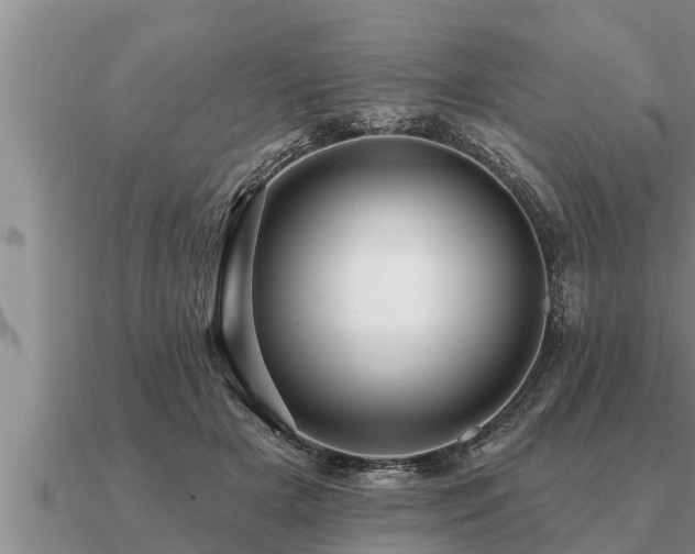X0000091090505200708061640