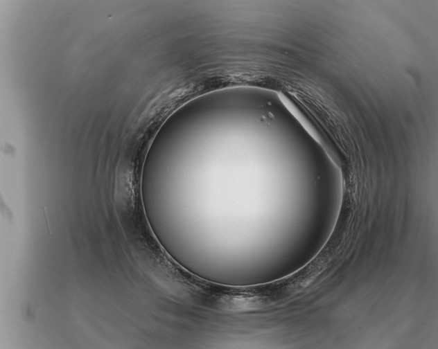 X0000091090506200708061640