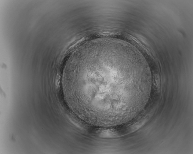 X0000091090507200708061640