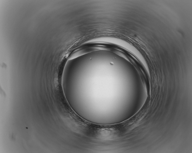 X0000091090508200708061640
