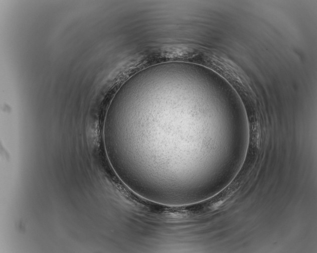 X0000091090510200708061640