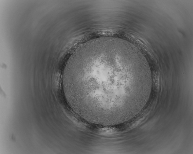 X0000091090511200708061640