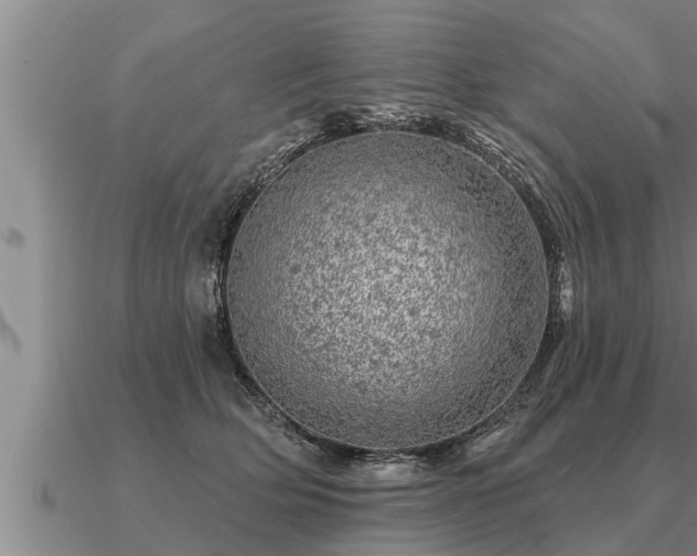X0000091090514200708061640