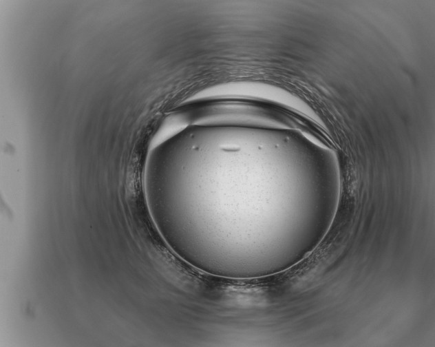 X0000091090515200708061640