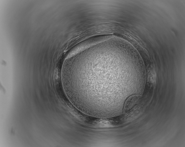 X0000091090518200708061640