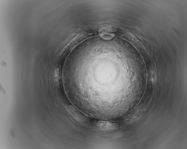 X0000091090519200708061640