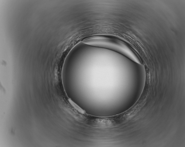 X0000091090520200708061640