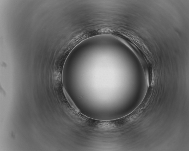 X0000091090521200708061640