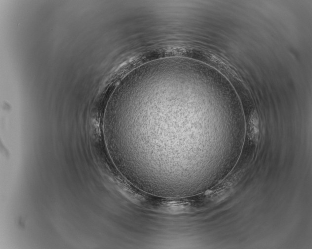 X0000091090522200708061640