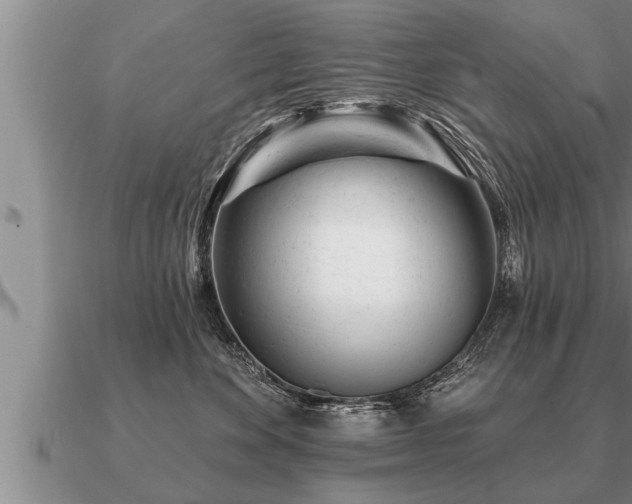 X0000091090524200708061640