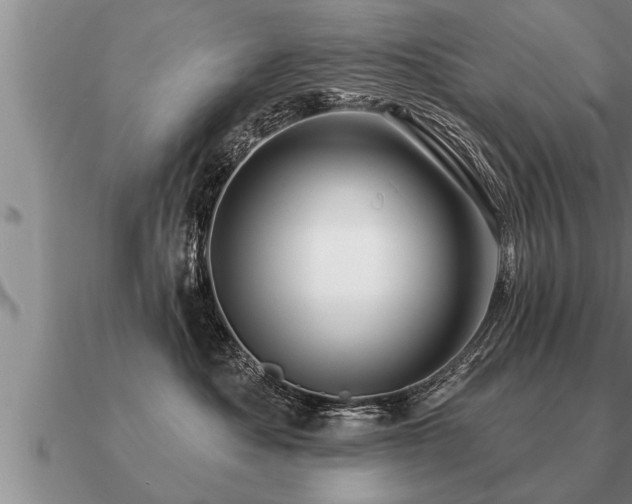 X0000091090525200708061640