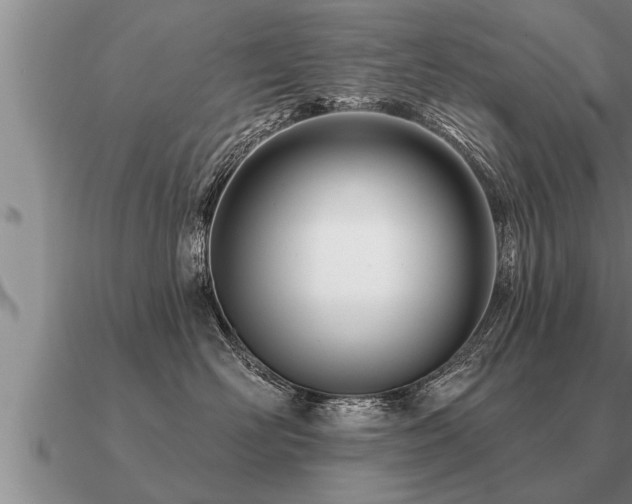 X0000091090526200708061640