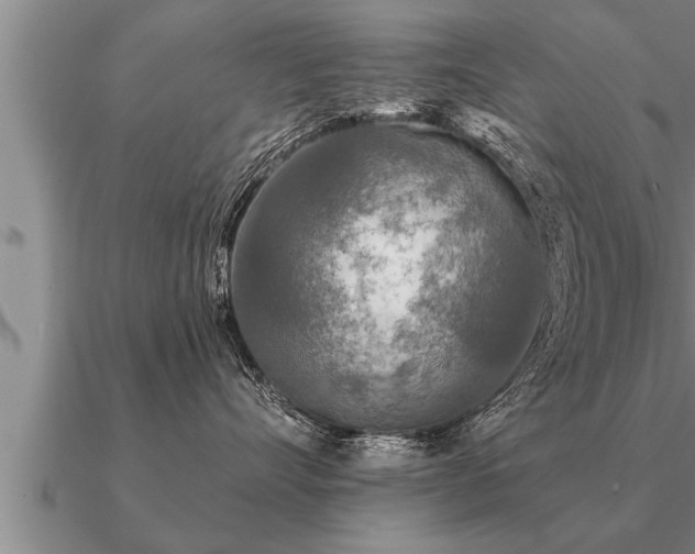 X0000091090528200708061640
