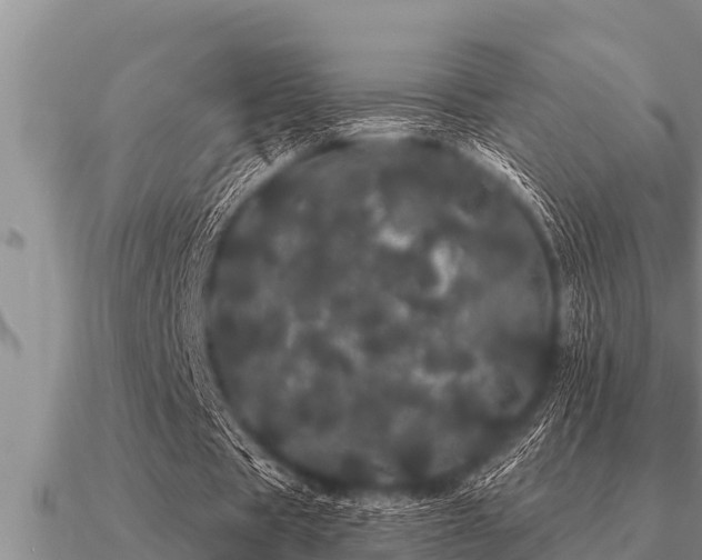 X0000091090529200708061639