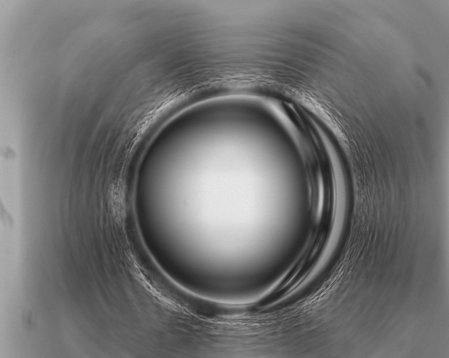X0000091090530200708061639