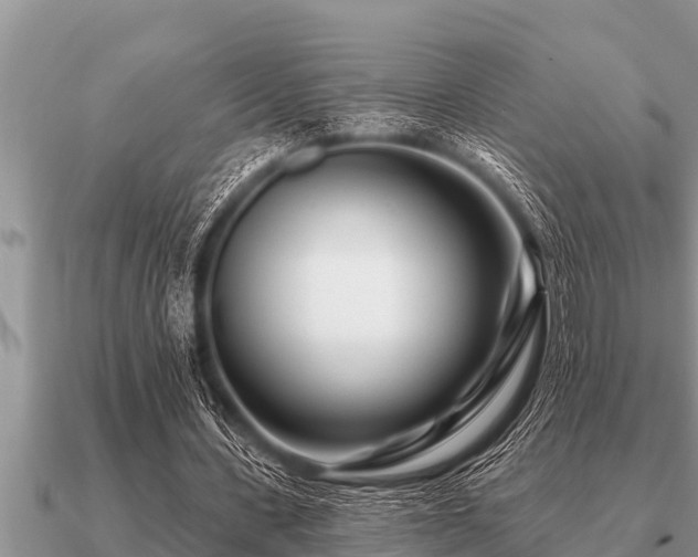 X0000091090531200708061639