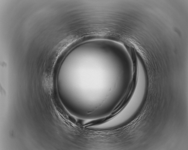 X0000091090532200708061639