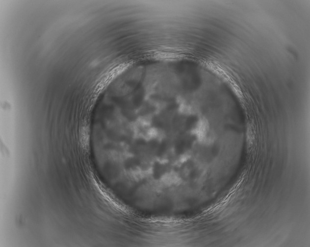 X0000091090533200708061639