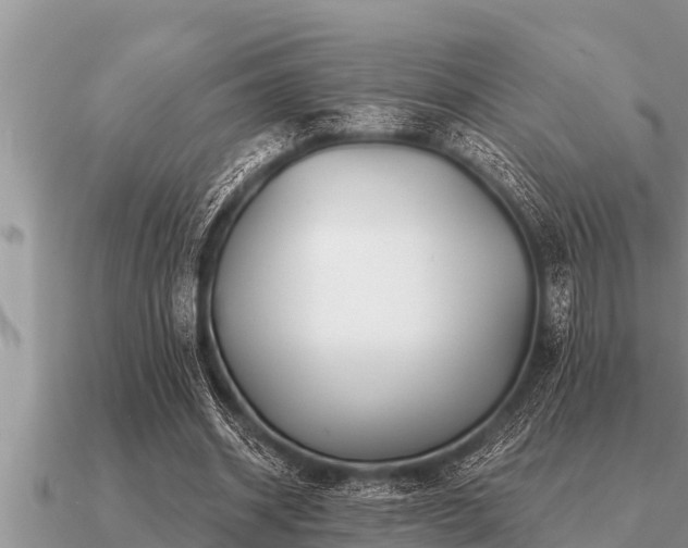 X0000091090534200708061639