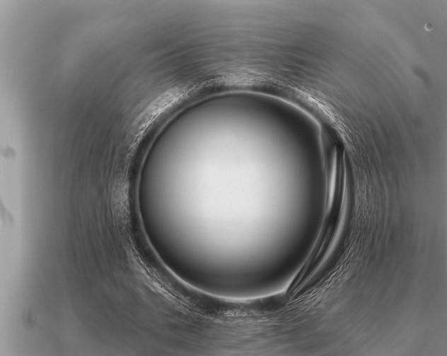 X0000091090535200708061639