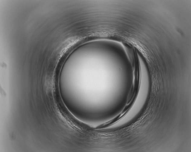 X0000091090536200708061639