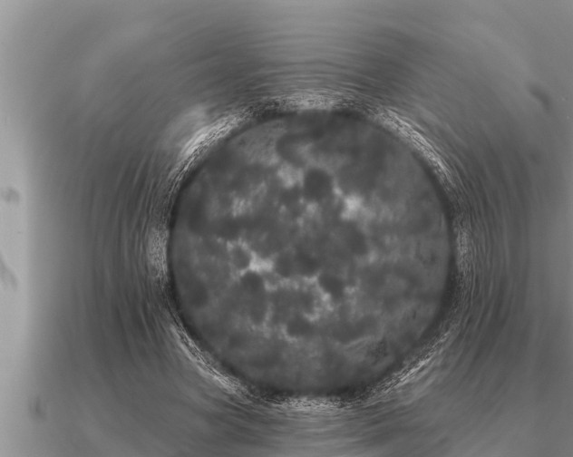 X0000091090537200708061639