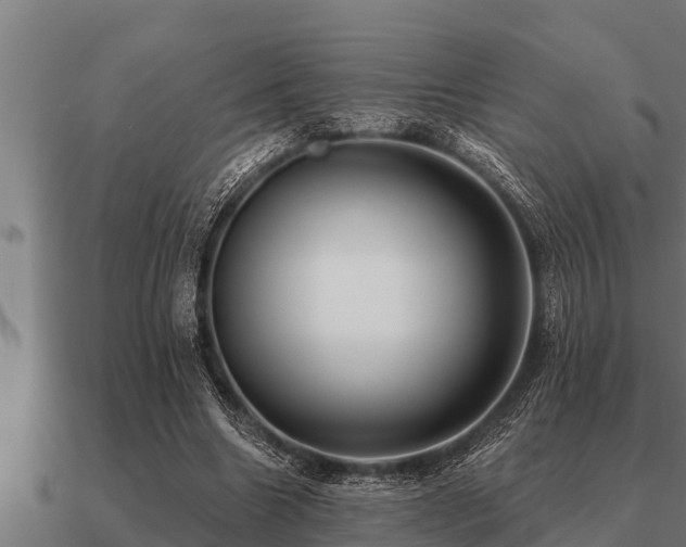 X0000091090538200708061639