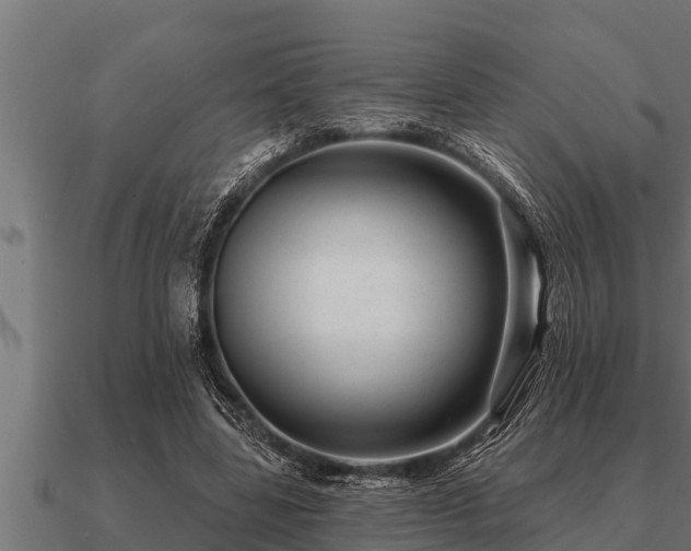X0000091090539200708061639