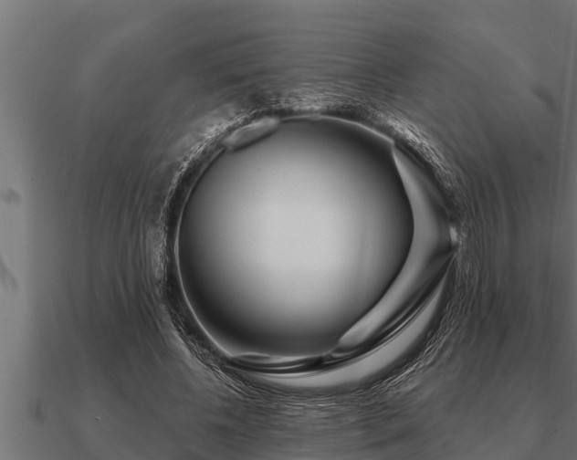 X0000091090540200708061639
