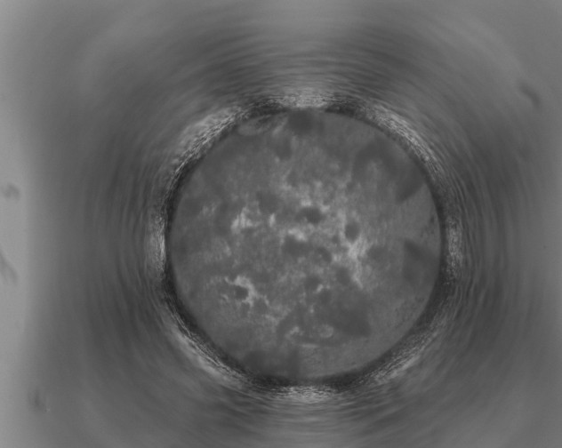 X0000091090541200708061639