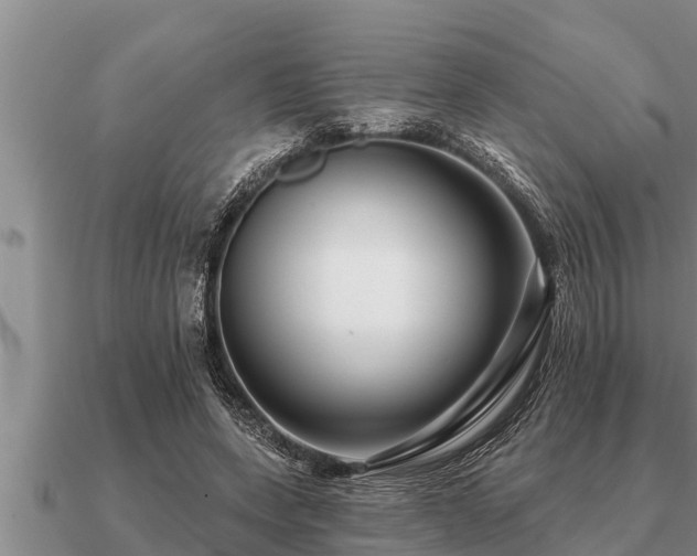 X0000091090543200708061639