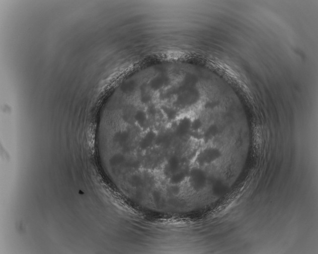 X0000091090545200708061639